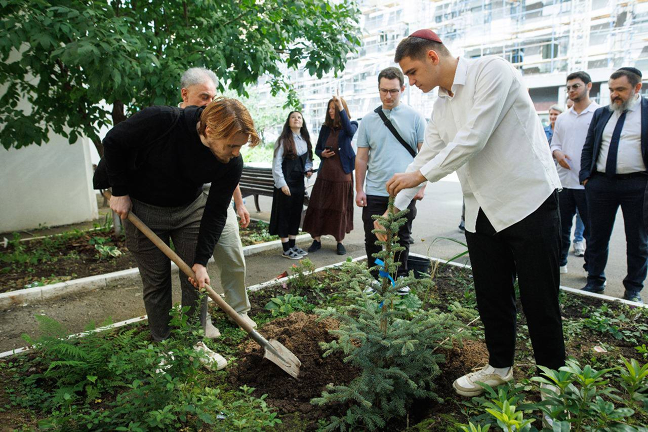 students planting a tree